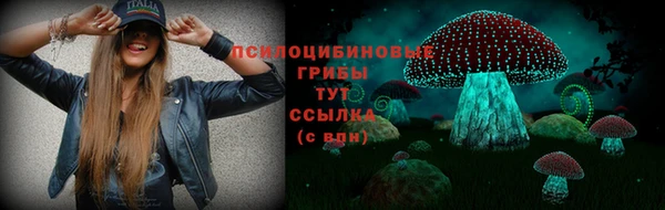 амф Арсеньев