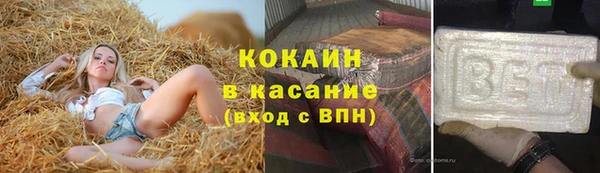 амф Арсеньев