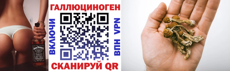 Галлюциногенные грибы GOLDEN TEACHER  наркота  Новодвинск 