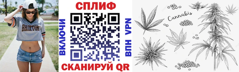 где купить   blacksprut ссылки  Бошки марихуана тримм  Новодвинск 